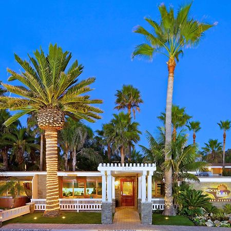 Ocean Palms Beach Resort Carlsbad Eksteriør billede